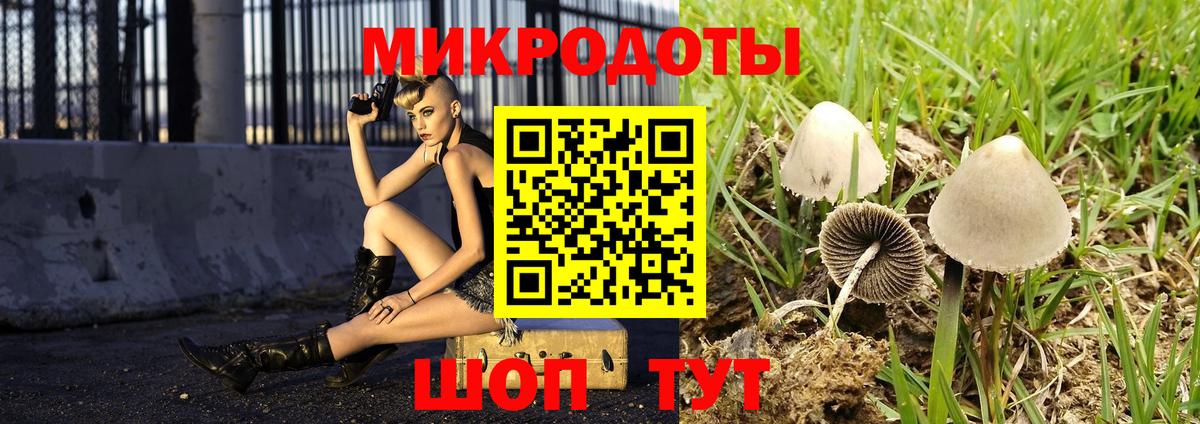 Галлюциногенные грибы Magic Shrooms  Псилоцибиновые грибы GOLDEN TEACHER  Можайск  Вход с VPN 