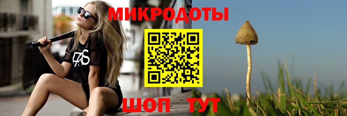 Псилоцибиновые грибы Cubensis Можайск
